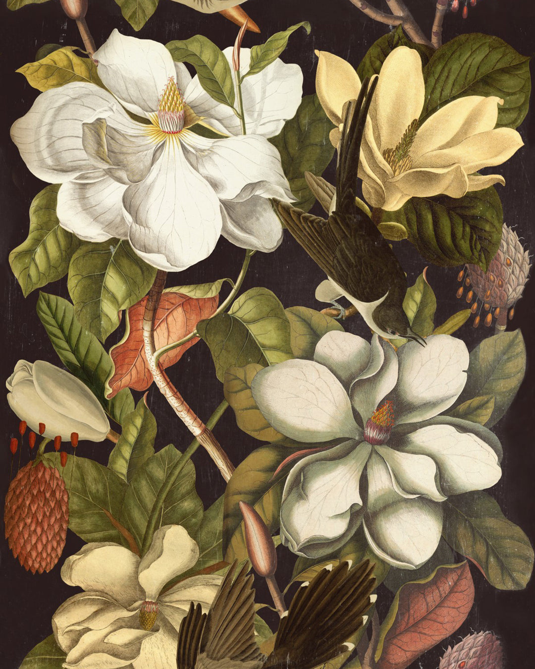 Magnolia wallpaper by Mind the Gap (WP20171), swatch