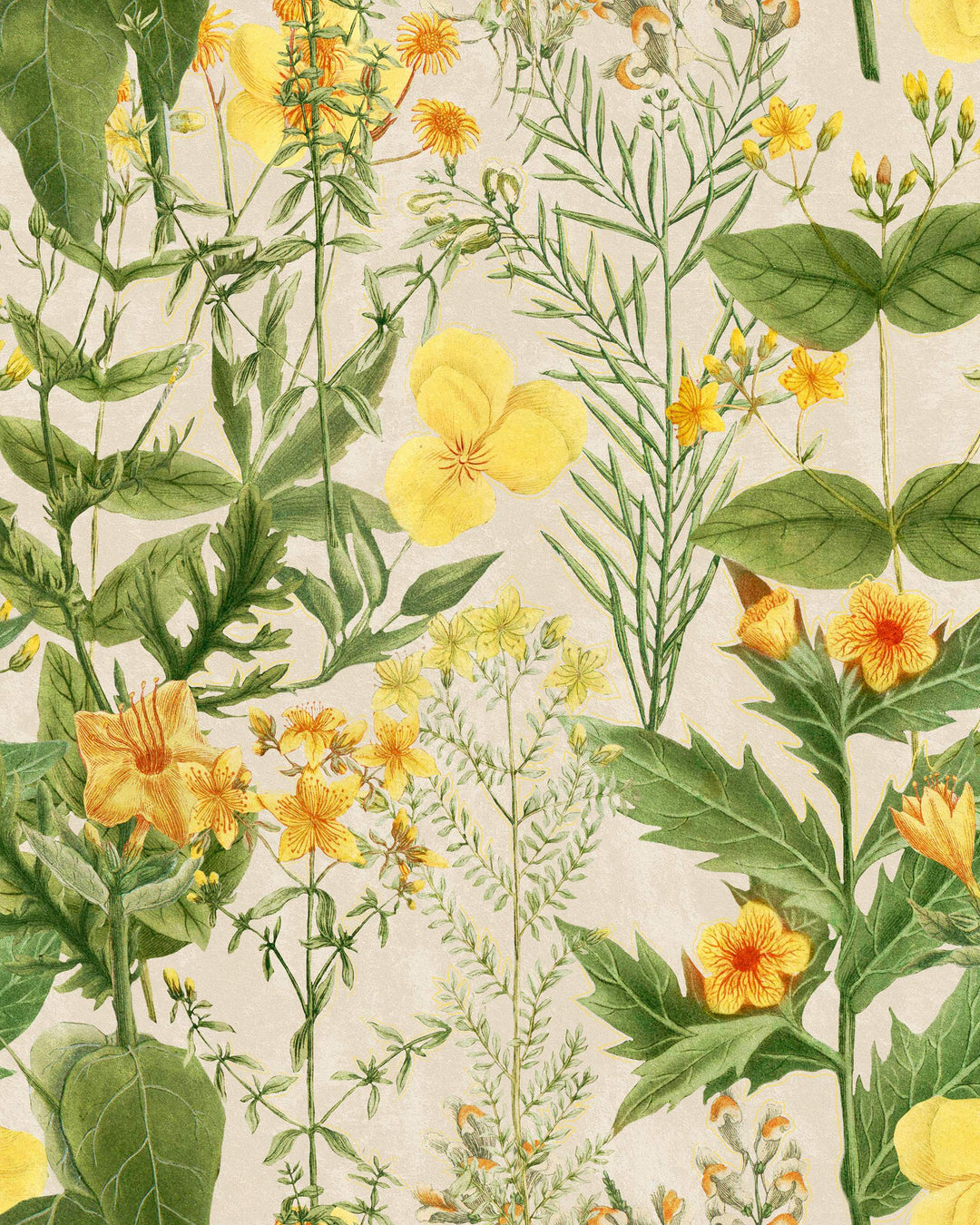 Mimulus wallpaper by Mind the Gap (WP20323), swatch