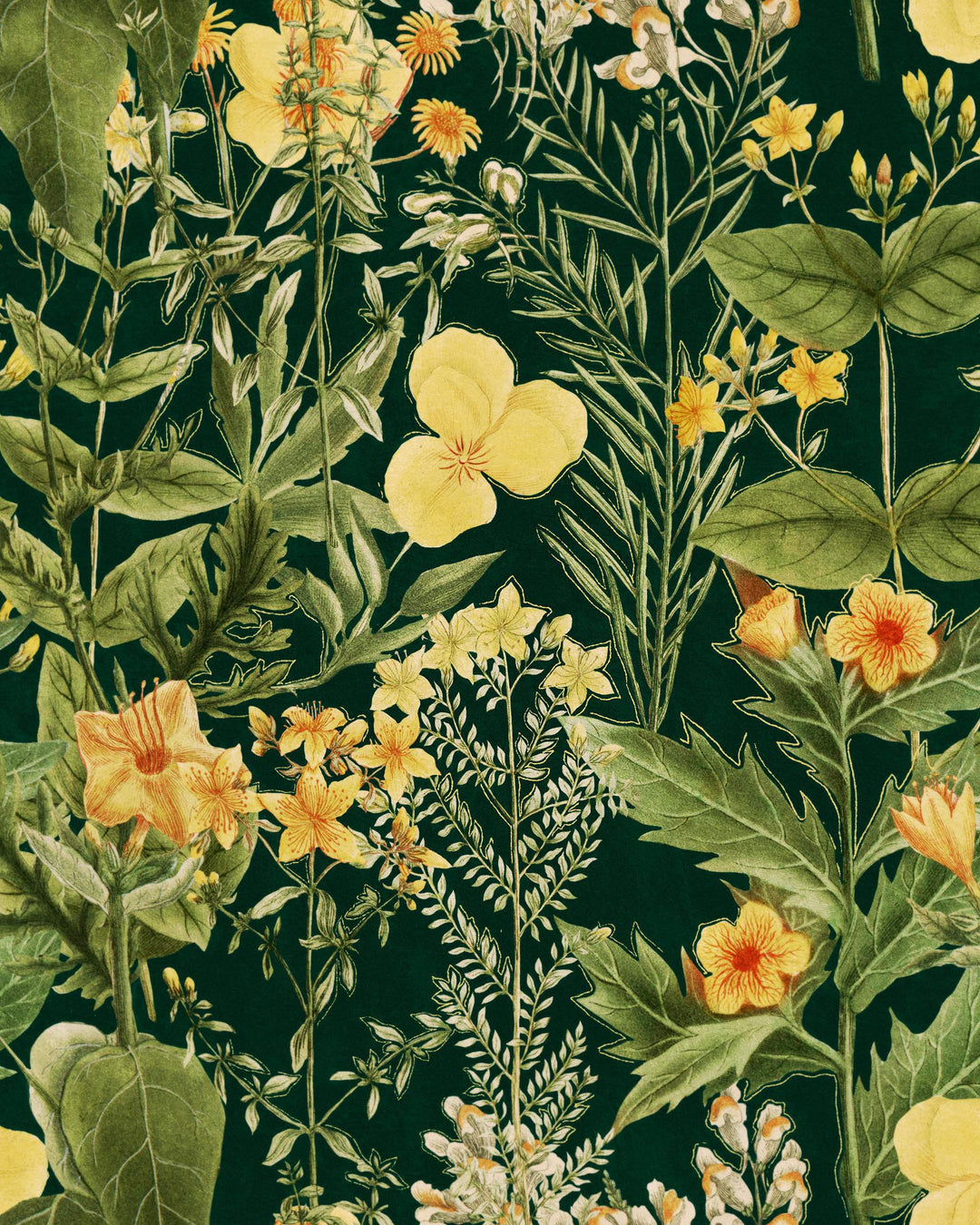 Mimulus Anthracite wallpaper by Mind the Gap (WP20322), swatch
