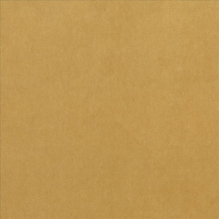 Maison Royale Antique Gold  by Kasmir Designer Fabric 1448 75% Polyester
25% Cotton
 CHINA 201,000 Wyzenbeek Double Rubs Horizontal: N/A and Vertical: N/A 54  - Swanky Fabrics -
