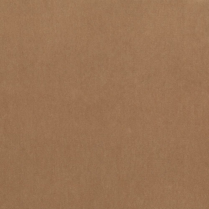 Maison Royale Camel by Kasmir Designer Fabric 1448 75% Polyester
25% Cotton
 CHINA </p><p>Repeat: Horizontal: N/A and Vertical: N/A 54 - Swanky Fabrics -