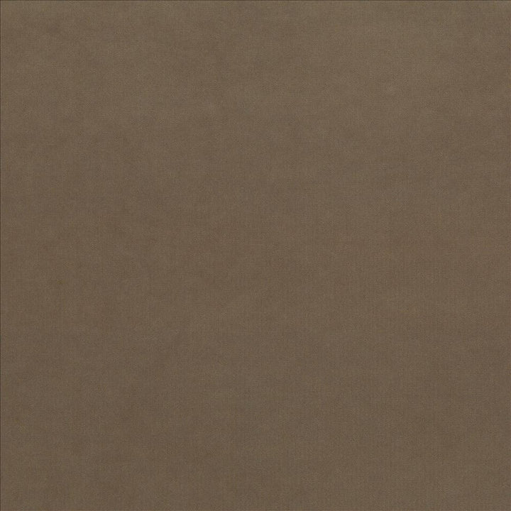 Maison Royale Driftwood by Kasmir Designer Fabric 1448 75% Polyester
25% Cotton
 CHINA </p><p>Repeat: Horizontal: N/A and Vertical: N/A 54 - Swanky Fabrics -