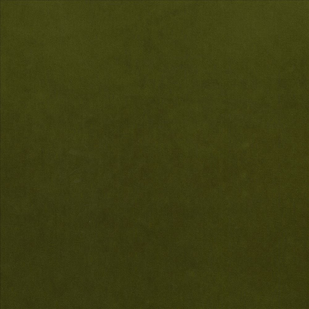 Maison Royale Forest by Kasmir Designer Fabric 1448 75% Polyester
25% Cotton
 CHINA 201,000 Wyzenbeek Double Rubs </p><p>Repeat: Horizontal: N/A and Vertical: N/A 54 - Swanky Fabrics -