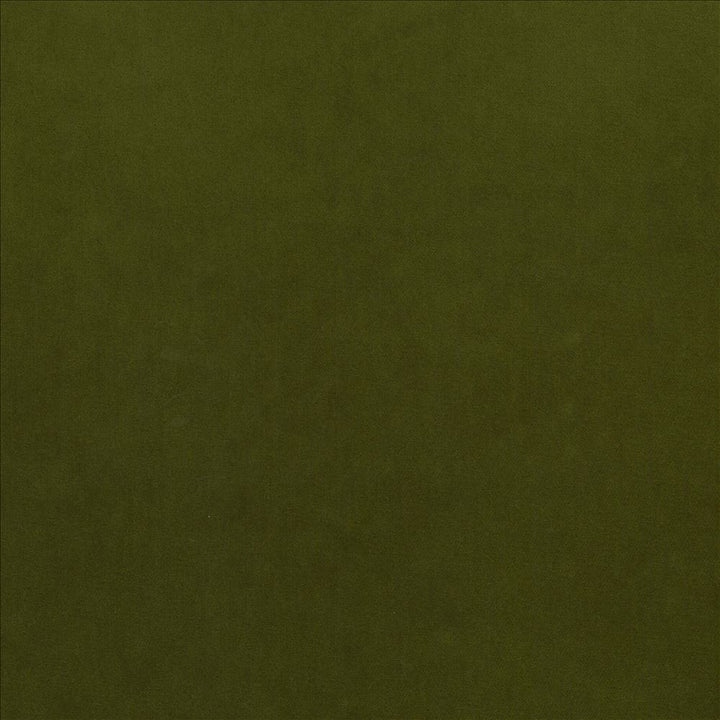 Maison Royale Forest by Kasmir Designer Fabric 1448 75% Polyester 25% Cotton CHINA 201,000 Wyzenbeek Double Rubs Horizontal: 0 Inches and Vertical: 0 Inches 54 - Swanky Fabrics -