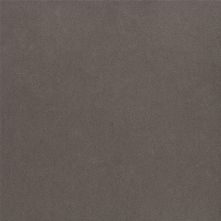Maison Royale Mink by Kasmir Designer Fabric 1448 75% Polyester
25% Cotton
 CHINA </p><p>Repeat: Horizontal: N/A and Vertical: N/A 54 - Swanky Fabrics -