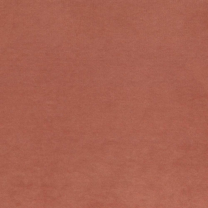 Maison Royale Nectar by Kasmir Designer Fabric 1448 75% Polyester
25% Cotton
 CHINA </p><p>Repeat: Horizontal: N/A and Vertical: N/A 54 - Swanky Fabrics -