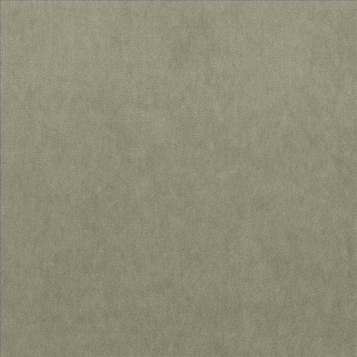 Maison Royale Platinum by Kasmir Designer Fabric 1448 75% Polyester
25% Cotton
 CHINA 201,000 Wyzenbeek Double Rubs </p><p>Repeat: Horizontal: N/A and Vertical: N/A 54 - Swanky Fabrics -