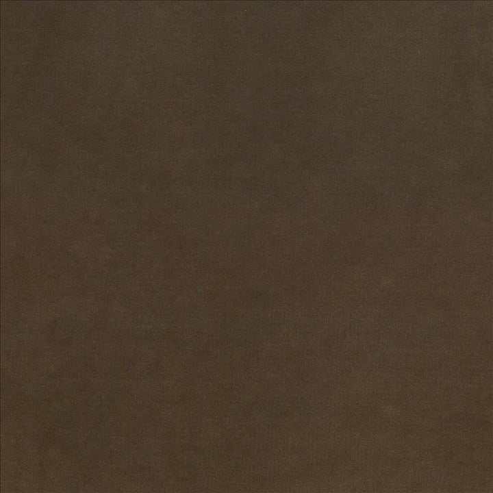Maison Royale Truffle by Kasmir Designer Fabric 1448 75% Polyester 25% Cotton CHINA 201,000 Wyzenbeek Double Rubs Horizontal: 0 Inches and Vertical: 0 Inches 54 - Swanky Fabrics -
