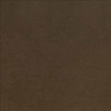 Maison Royale Truffle by Kasmir Designer Fabric 1448 75% Polyester 25% Cotton CHINA 201,000 Wyzenbeek Double Rubs H: N/A, V: N/A 54 - Swanky Fabrics - Kasmir
