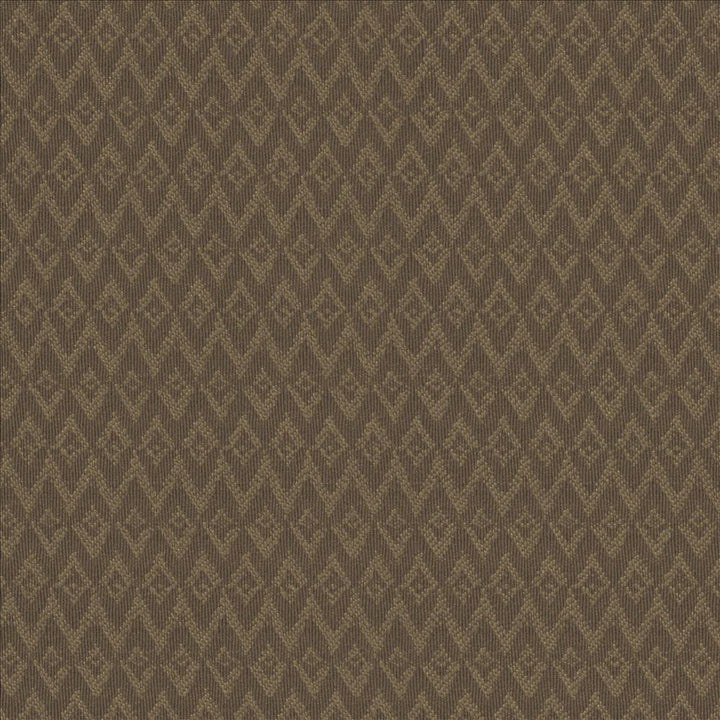 Makai Cocoa  by Kasmir Designer Fabric 5101 100% Polyester
 CHINA 15,000 Wyzenbeek Double Rubs Horizontal: 4/8 inches and Vertical: 1 inches 54  - Swanky Fabrics -