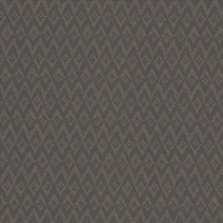 Makai Smoke by Kasmir Designer Fabric 5101 100% Polyester CHINA 15,000 Wyzenbeek Double Rubs Horizontal: 4/8 inches and Vertical: 1 inches 54 - 55 - Swanky Fabrics -