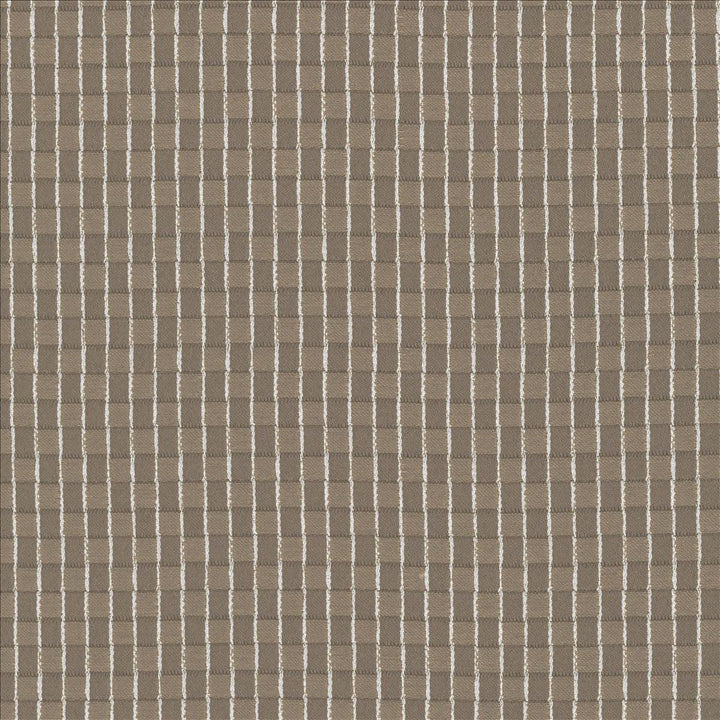 Maneka Stone by Kasmir Designer Fabric 5066 100% Polyester
 TAIWAN </p><p>Repeat: Horizontal: 4/8 inches and Vertical: 5/8 inches 54 - 56 - Swanky Fabrics -