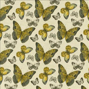 Mariposa Jardin Citron by Kasmir Designer Fabric