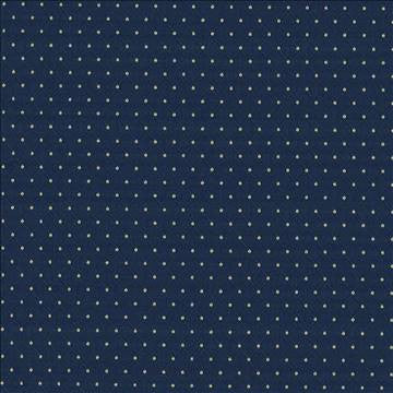 Martinez Twilight by Kasmir Designer Fabric 5088 100% Polyester CHINA 30,000 Wyzenbeek Double Rubs H: 6/8 inches, V: 1 2/8 inches 54 - 56 - Swanky Fabrics - Kasmir