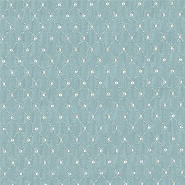 Martinez Vapor by Kasmir Designer Fabric 5089 100% Polyester CHINA 30,000 Wyzenbeek Double Rubs Horizontal: 6/8 inches and Vertical: 1 2/8 inches 54 - 56 - Swanky Fabrics -