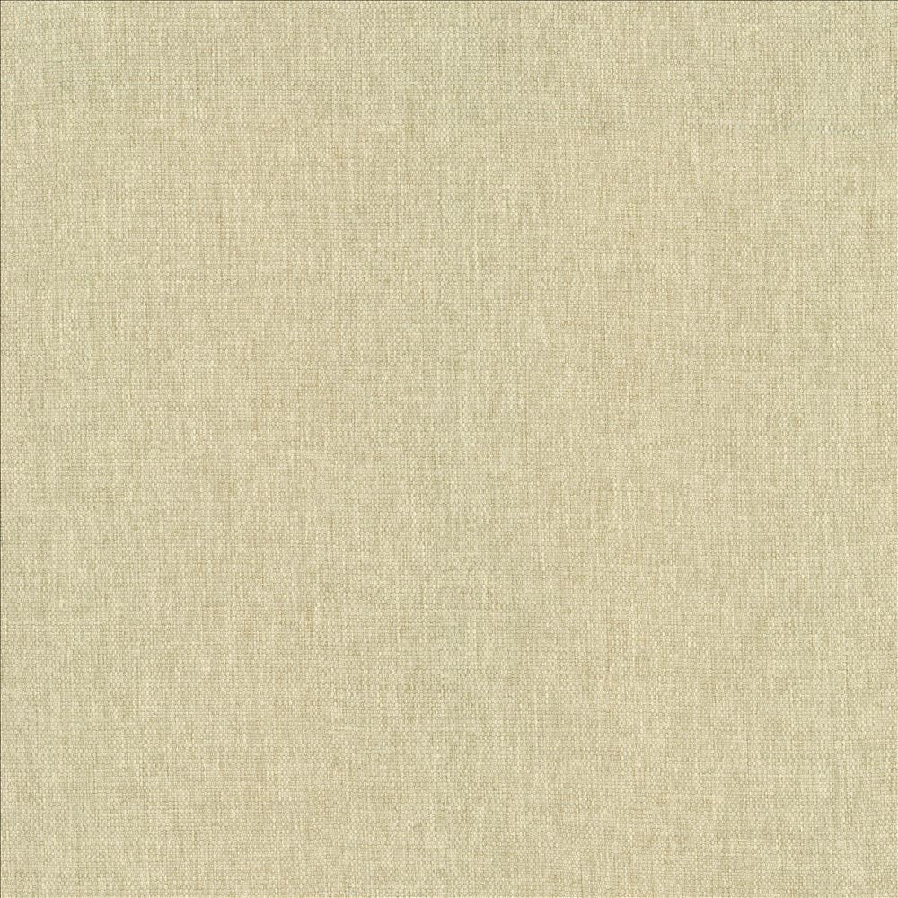 Mateo Muslin by Kasmir Designer Fabric See sample 100% Polyester
 INDIA 55,000 Wyzenbeek Double Rubs </p><p>Repeat: Horizontal: N/A and Vertical: N/A 54 - Swanky Fabrics -