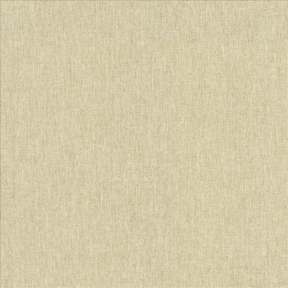 Mateo Muslin by Kasmir Designer Fabric 5165 100% Polyester
 INDIA 55,000 Wyzenbeek Double Rubs </p><p>Repeat: Horizontal: N/A and Vertical: N/A 54 - Swanky Fabrics -