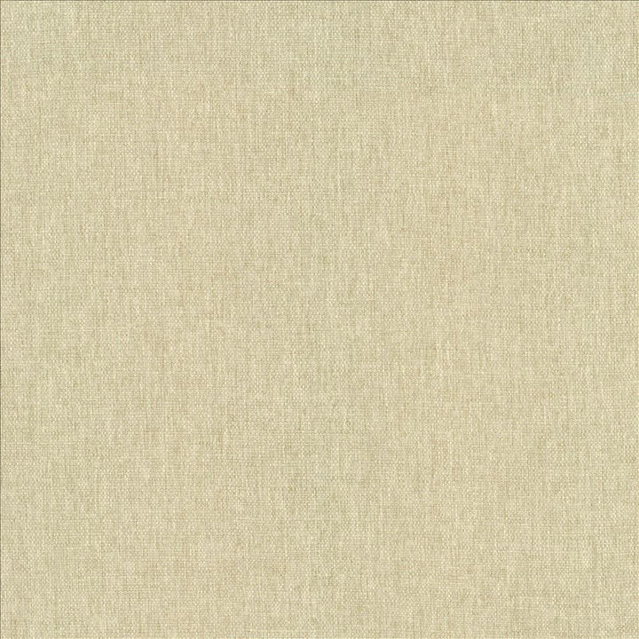 Mateo Muslin by Kasmir Designer Fabric 5165 100% Polyester
 INDIA 55,000 Wyzenbeek Double Rubs </p><p>Repeat: Horizontal: N/A and Vertical: N/A 54 - Swanky Fabrics -