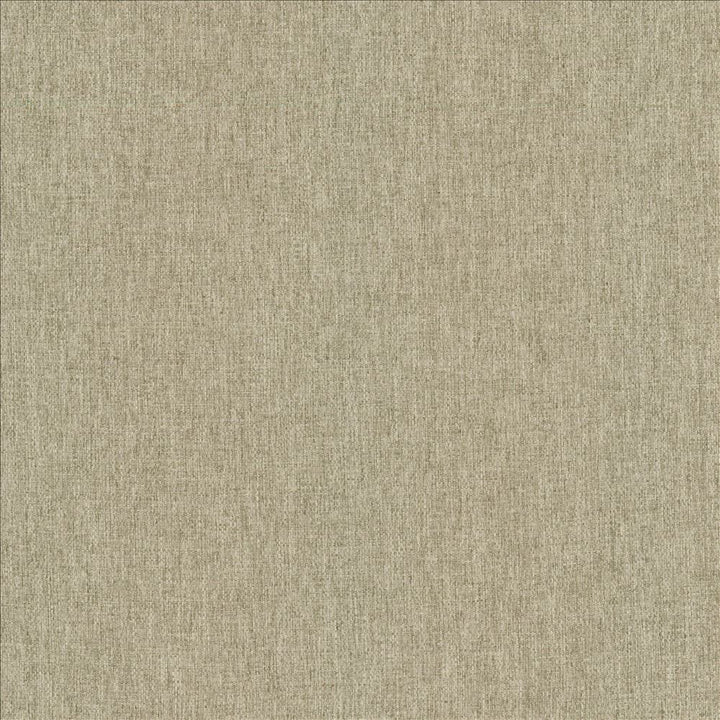 Mateo Seal by Kasmir Designer Fabric See sample 100% Polyester
 INDIA 55,000 Wyzenbeek Double Rubs </p><p>Repeat: Horizontal: N/A and Vertical: N/A 54 - Swanky Fabrics -