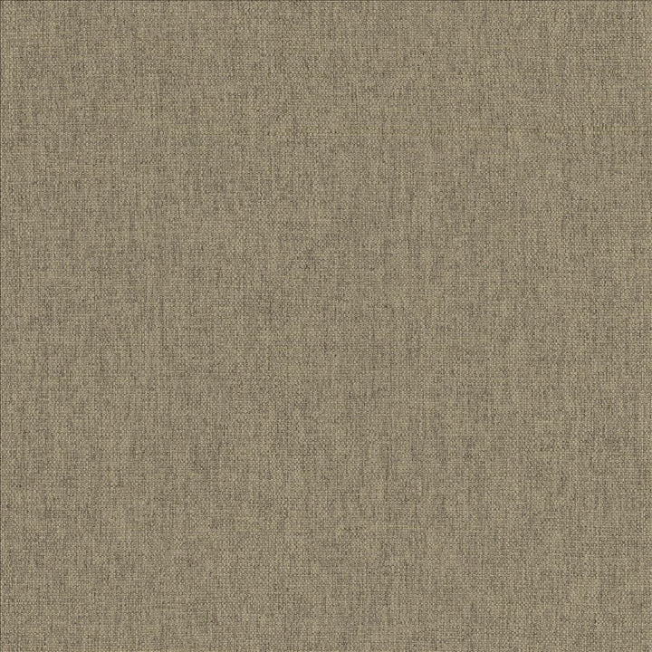 Mateo Steel by Kasmir Designer Fabric 5165 100% Polyester
 INDIA 55,000 Wyzenbeek Double Rubs </p><p>Repeat: Horizontal: N/A and Vertical: N/A 54 - Swanky Fabrics -