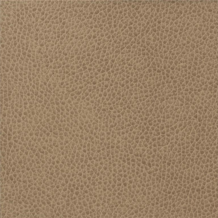 MATTER.1611 by Kravet Basics Designer Fabric our website for purchase 100% Leather China Heavy Horizontal: see sample and Vertical: see sample 54 inches - Swanky Fabrics -