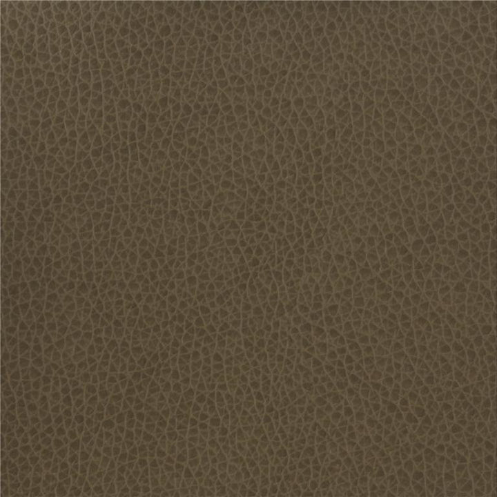 MATTER.21 by Kravet Basics Designer Fabric our website for purchase 100% Leather China Heavy Horizontal: see sample and Vertical: see sample 54 inches - Swanky Fabrics -