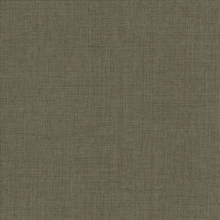 Maura Ash by Kasmir Designer Fabric 5165 100% Polyester
 TURKEY Not Tested </p><p>Repeat: Horizontal: N/A and Vertical: N/A 57 - Swanky Fabrics -
