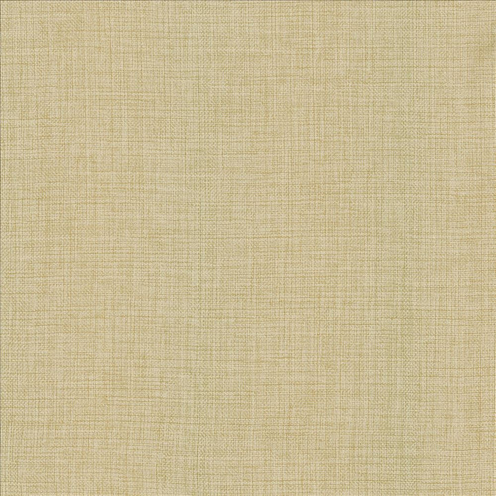Maura Chamois by Kasmir Designer Fabric 5165 100% Polyester
 TURKEY </p><p>Repeat: Horizontal: N/A and Vertical: N/A 57 - Swanky Fabrics -