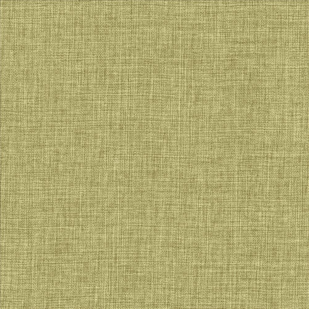 Maura Grass by Kasmir Designer Fabric 5165 100% Polyester
 TURKEY Not Tested </p><p>Repeat: Horizontal: N/A and Vertical: N/A 57 - Swanky Fabrics -