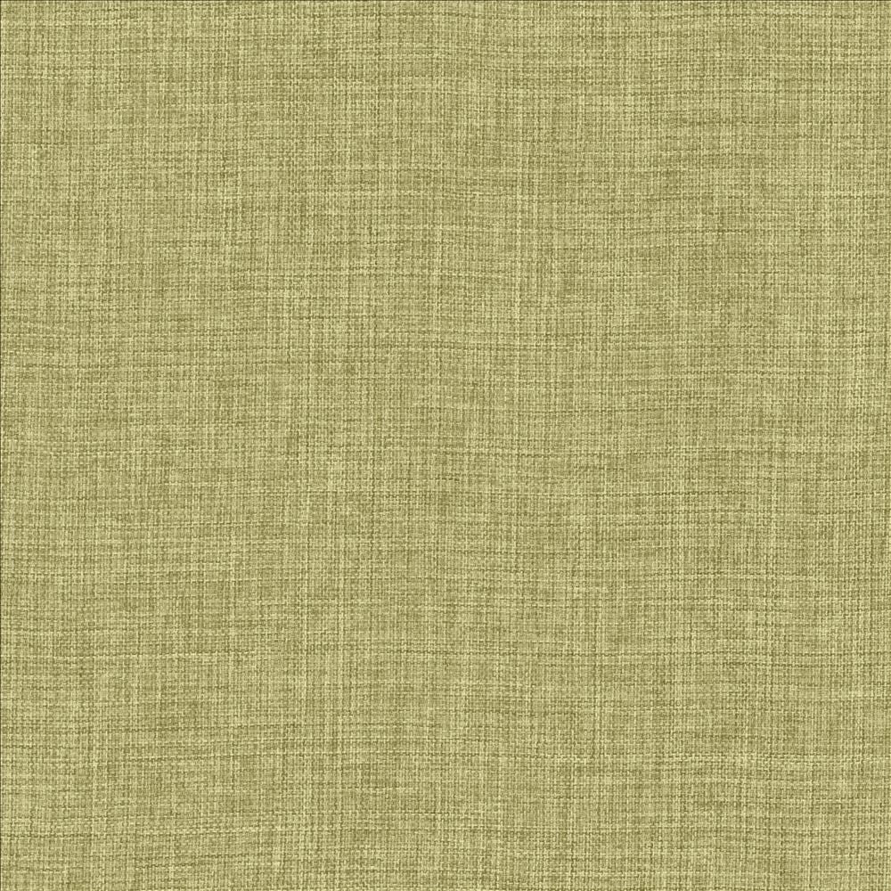 Maura Grass by Kasmir Designer Fabric 5165 100% Polyester
 TURKEY </p><p>Repeat: Horizontal: N/A and Vertical: N/A 57 - Swanky Fabrics -
