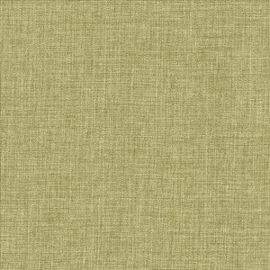 Maura Grass by Kasmir Designer Fabric