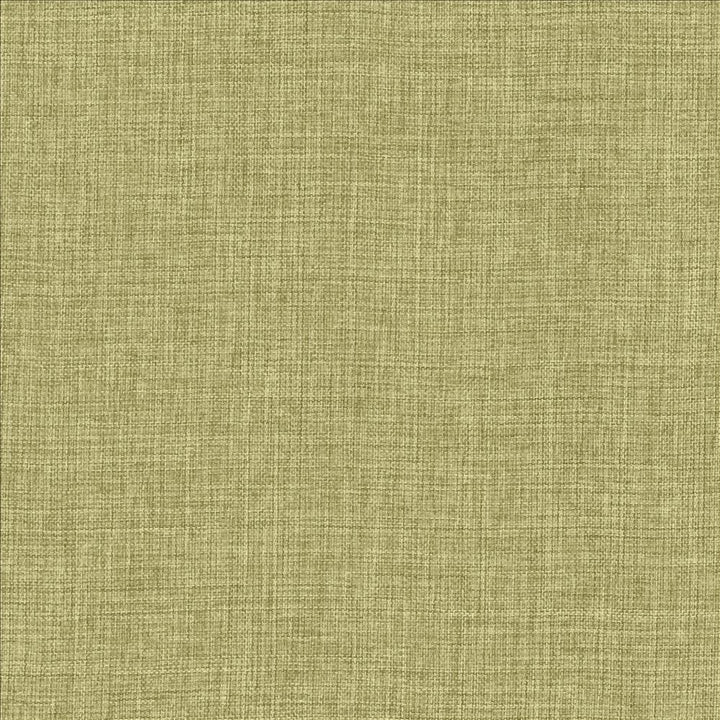 Maura Grass by Kasmir Designer Fabric 5165 100% Polyester
 TURKEY </p><p>Repeat: Horizontal: N/A and Vertical: N/A 57 - Swanky Fabrics -