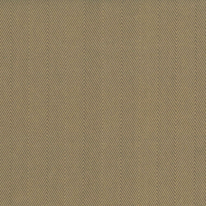 Mcclintock Camel  by Kasmir Designer Fabric 1438 100% Cotton
 INDIA 30,000 Wyzenbeek Double Rubs Horizontal: 1 7/8 inches and Vertical: N/A 54  - Swanky Fabrics -