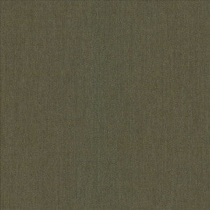 Mcdowell Kashmir  by Kasmir Designer Fabric