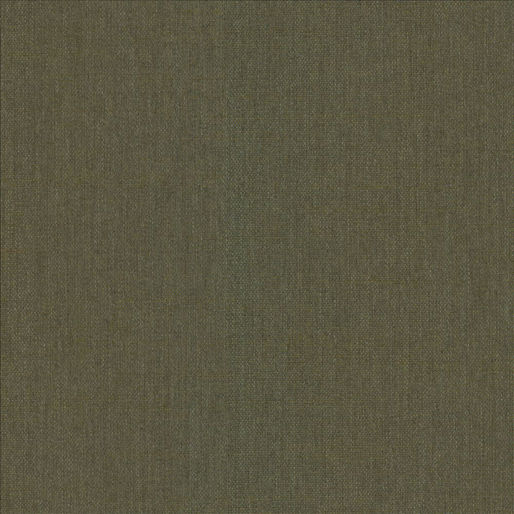 Mcdowell Kashmir  by Kasmir Designer Fabric 5184 100% Polyester  INDIA  </p><p>Repeat: Horizontal: N/A and Vertical: N/A 55  - Swanky Fabrics -