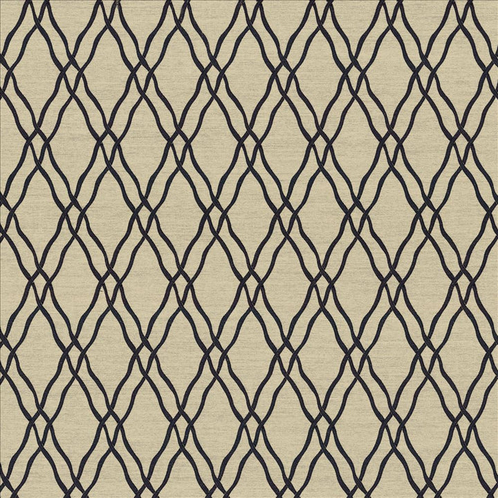 Meander Trellis Black by Kasmir Designer Fabric 5067 100% Polyester
 CHINA </p><p>Repeat: Horizontal: 3 4/8 inches and Vertical: 7 6/8 inches 56 - 57 - Swanky Fabrics -