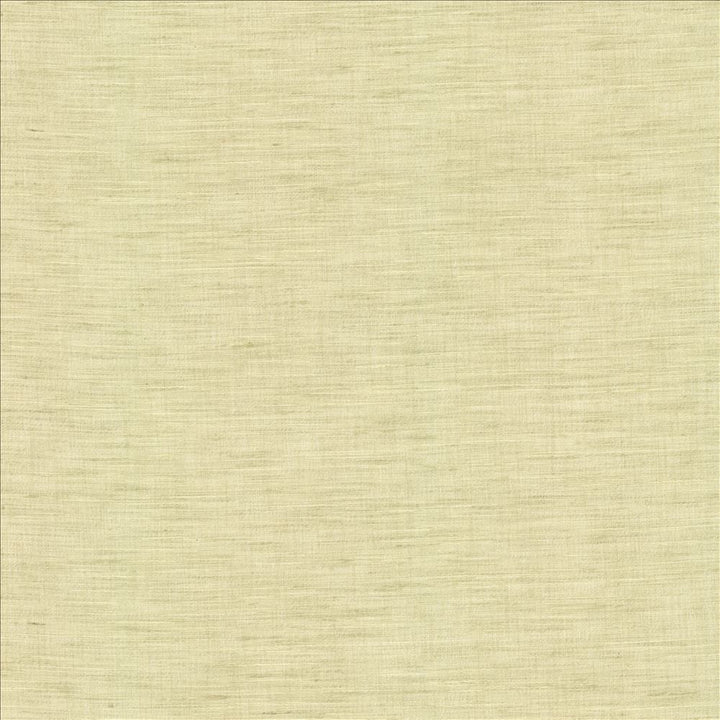 Mercado Celadon by Kasmir Designer Fabric 5181 100% Polyester
 INDIA Not Tested </p><p>Repeat: Horizontal: N/A and Vertical: N/A 54 - Swanky Fabrics -