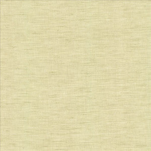 Mercado Celadon by Kasmir Designer Fabric