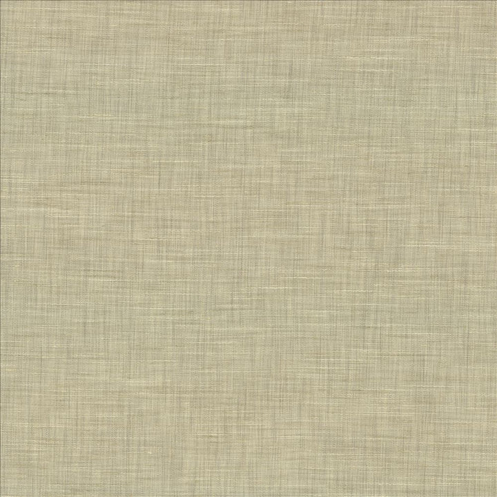 Mercado Platinum by Kasmir Designer Fabric 5181 100% Polyester
 INDIA Not Tested </p><p>Repeat: Horizontal: N/A and Vertical: N/A 54 - Swanky Fabrics -