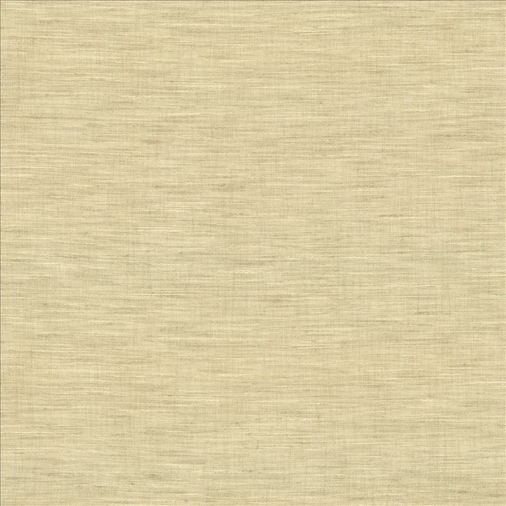 Mercado Stone by Kasmir Designer Fabric 5181 100% Polyester
 INDIA Not Tested </p><p>Repeat: Horizontal: N/A and Vertical: N/A 54 - Swanky Fabrics -