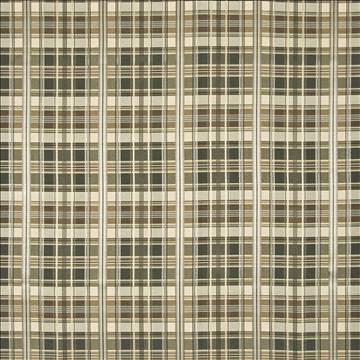 Merengue Shadow by Kasmir Designer Fabric 1372 66% Polyester 34% Rayon TAIWAN 70,000 Wyzenbeek Double Rubs H: 6 6/8 inches, V: 8 2/8 inches 54 - Swanky Fabrics - Kasmir