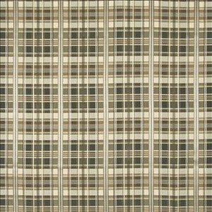 Merengue Shadow by Kasmir Designer Fabric