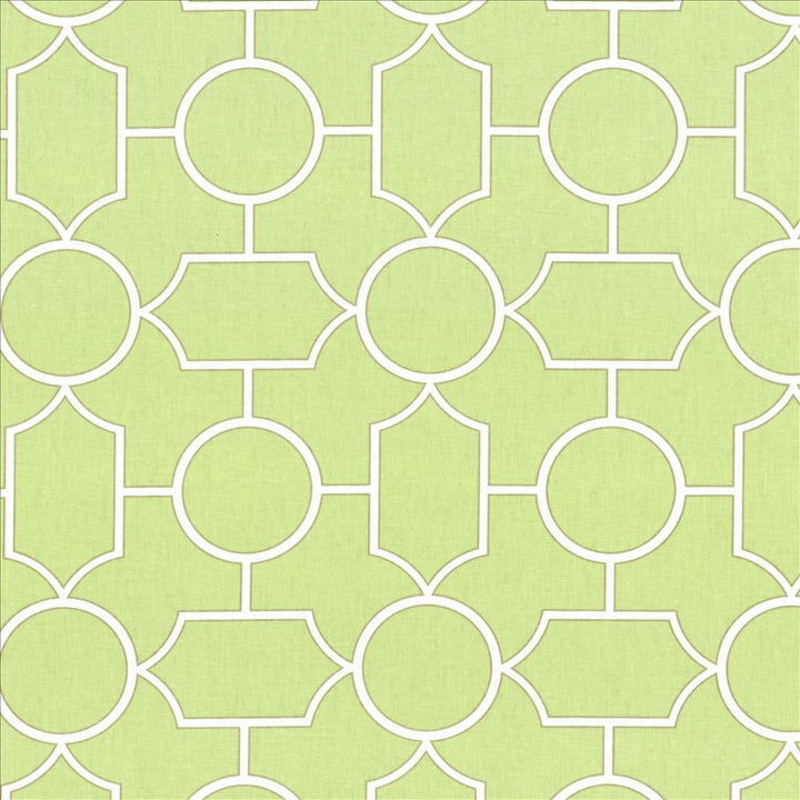 Mezzanine Celadon by Kasmir Designer Fabric 5082 100% Cotton TURKMENISTAN 30,000 Wyzenbeek Double Rubs Horizontal: 9 inches and Vertical: 9 inches 54 - Swanky Fabrics -