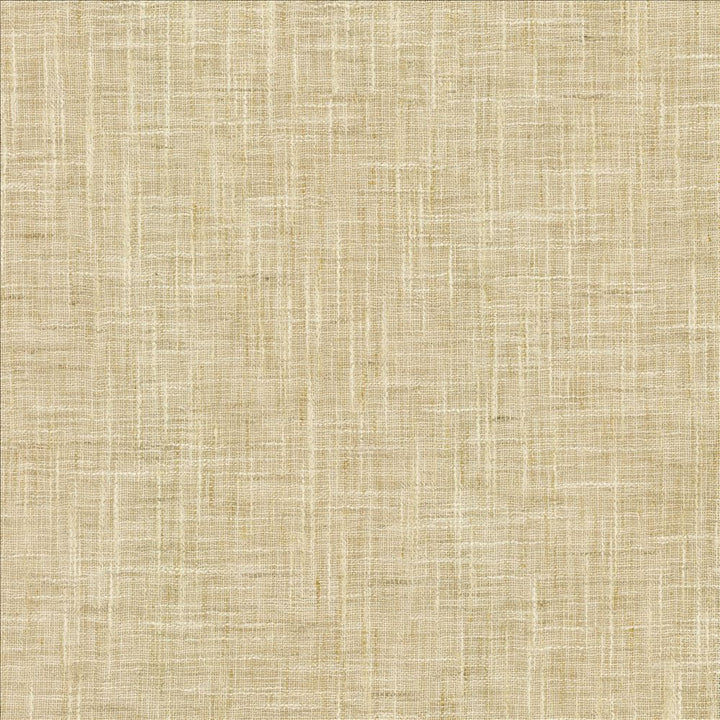 Mina Texture Taupe by Kasmir Designer Fabric 5181 100% Polyester
 INDIA Not Tested </p><p>Repeat: Horizontal: N/A and Vertical: N/A 54 - Swanky Fabrics -