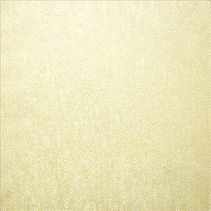 Modish Champagne by Kasmir Designer Fabric