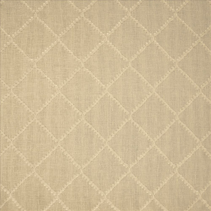 Monticule Tussah by Kasmir Designer Fabric 5157 100% Polyester
 TURKEY </p><p>Repeat: Horizontal: 4 inches and Vertical: 4 inches 118 - Swanky Fabrics -