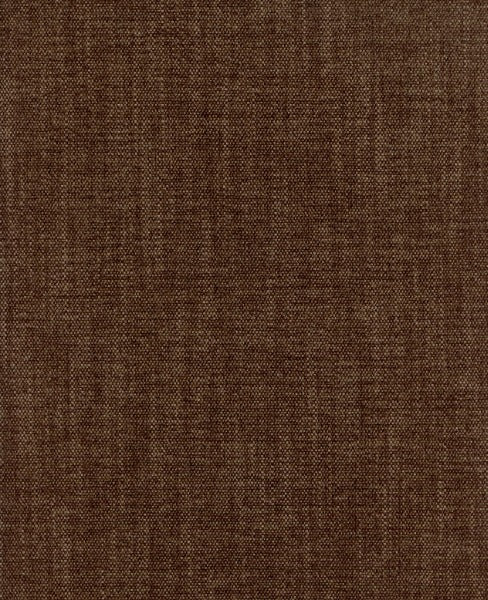 Mulligan Cocoa by Roth & Tompkins Fabric - 100% Polyester - India - 101,000 - 54" - Fabric Carolina -