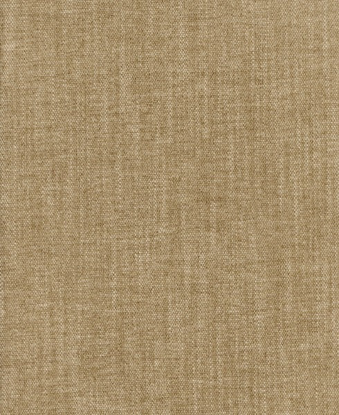 Mulligan Mushroom by Roth & Tompkins Fabric - 100% Polyester - India - 101,000 - 54" - Fabric Carolina -