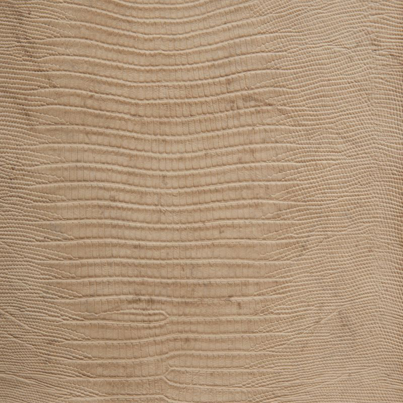 NAMAQUA.16 by Kravet Design Designer Fabric in our sample Poly Vinyl Chloride 75%, Polyester 16%, Cotton 9% Korea, Republic of Heavy Horizontal: 8 inches and Vertical: 9.5 inches 54 inches - Swanky Fabrics -