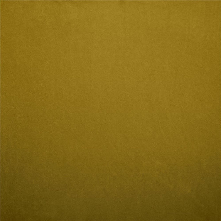 Nampara Antique Gold by Kasmir Designer Fabric See sample 100% Polyester
 CHINA 105,000 Wyzenbeek Double Rubs </p><p>Repeat: Horizontal: N/A and Vertical: N/A 58 - Swanky Fabrics -